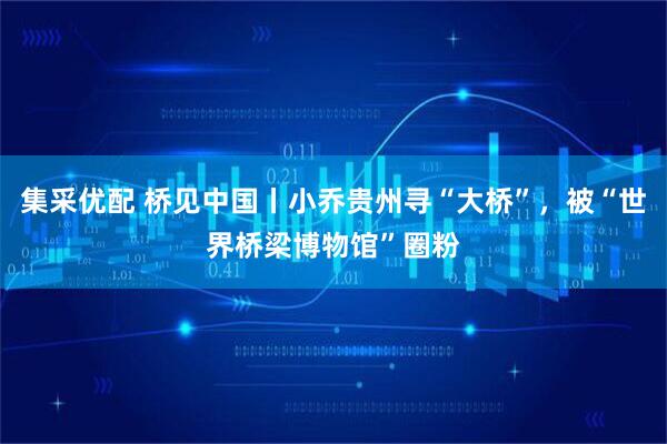 集采优配 桥见中国丨小乔贵州寻“大桥”,被“世界桥梁博物馆”圈粉