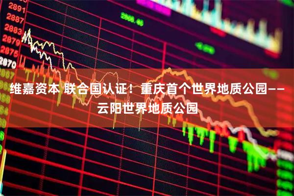 维嘉资本 联合国认证！重庆首个世界地质公园——云阳世界地质公园