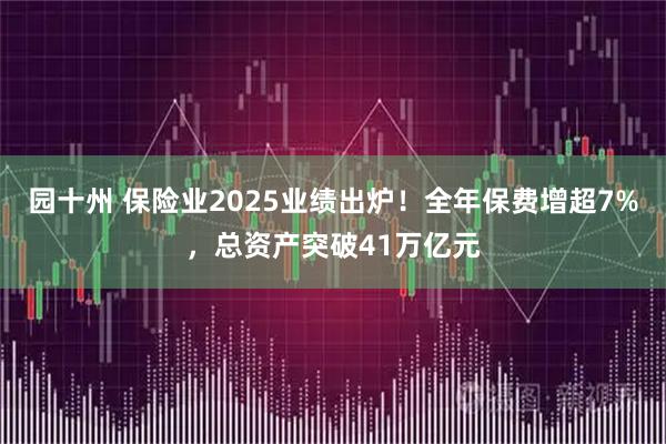 园十州 保险业2025业绩出炉！全年保费增超7%，总资产突破41万亿元